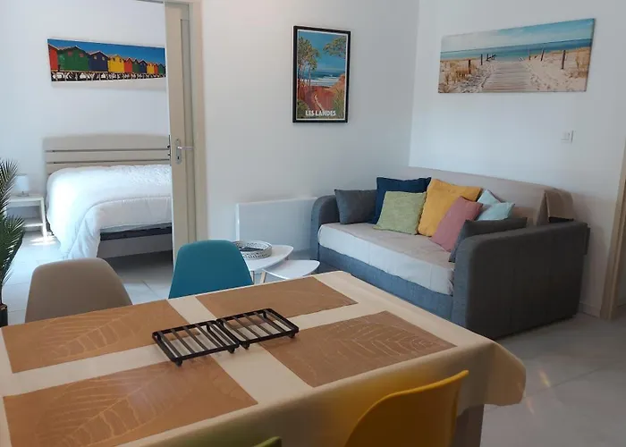 T2, 50M Du Lac, Piscine, Wifi, Jardin Terrasse Sans Vis-A-Vis, 1 A 4 Pers